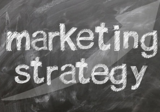 Marketing de Defensores e o Sucesso do Cliente
